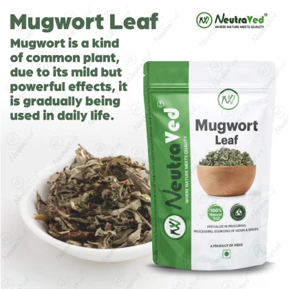 Mugwort Leaves image 2